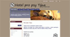 Desktop Screenshot of hotelpropsy-tyna.cz